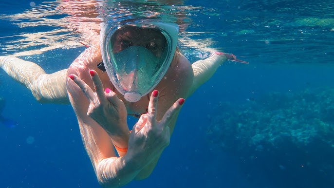 Escursione di Snorkeling all'isola di Hamata da Marsa Alam