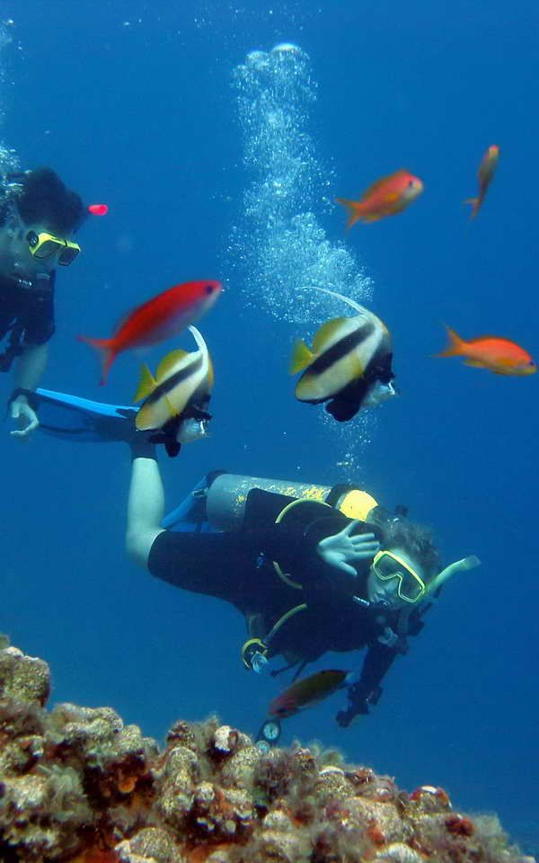 Escursione Dahab e snorkeling al Blue Hole